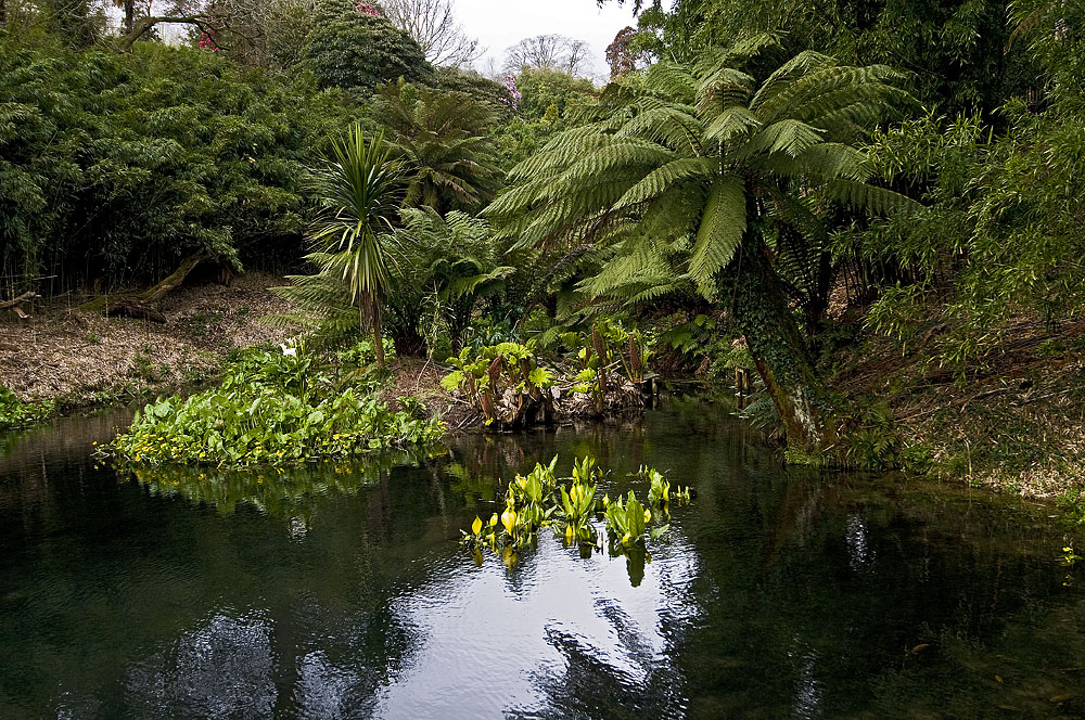 The lost Gardens of Heligan-2