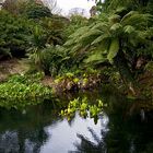 The lost Gardens of Heligan-2