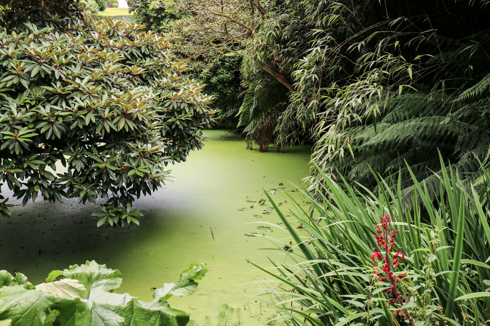 The Lost Gardens of Heligan_