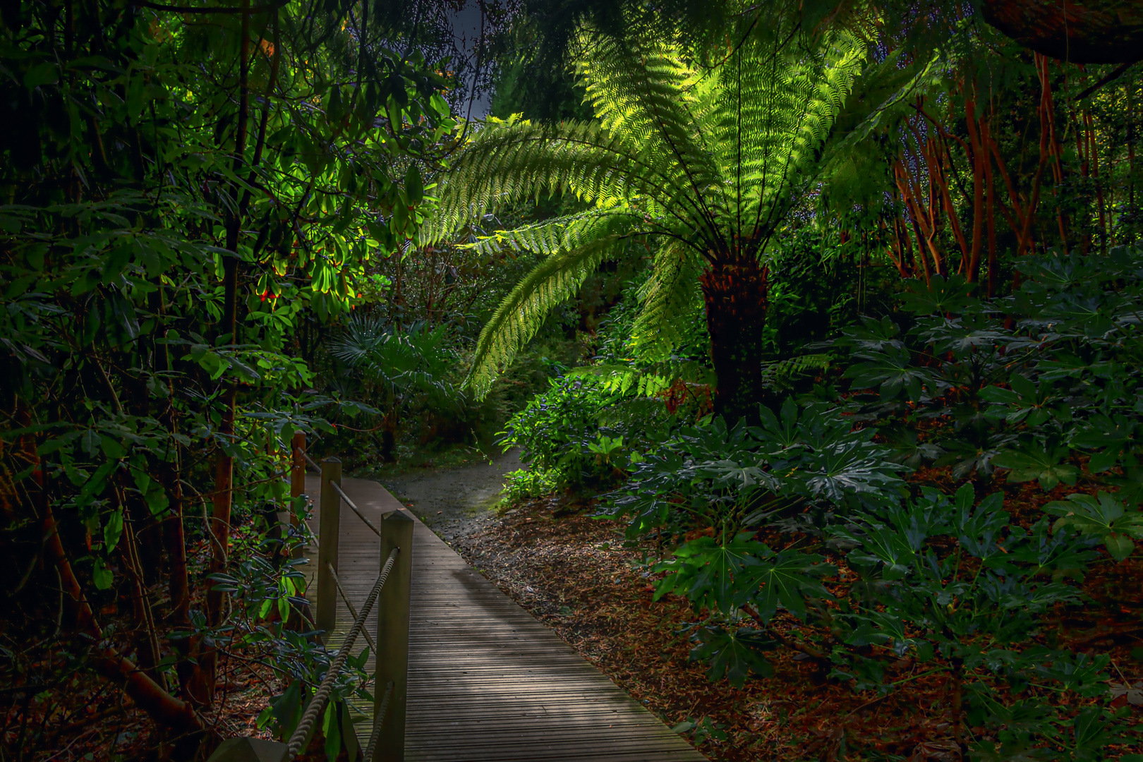 The Lost Gardens of Heligan