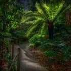 The Lost Gardens of Heligan