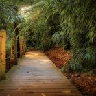 the lost gardens of heligan