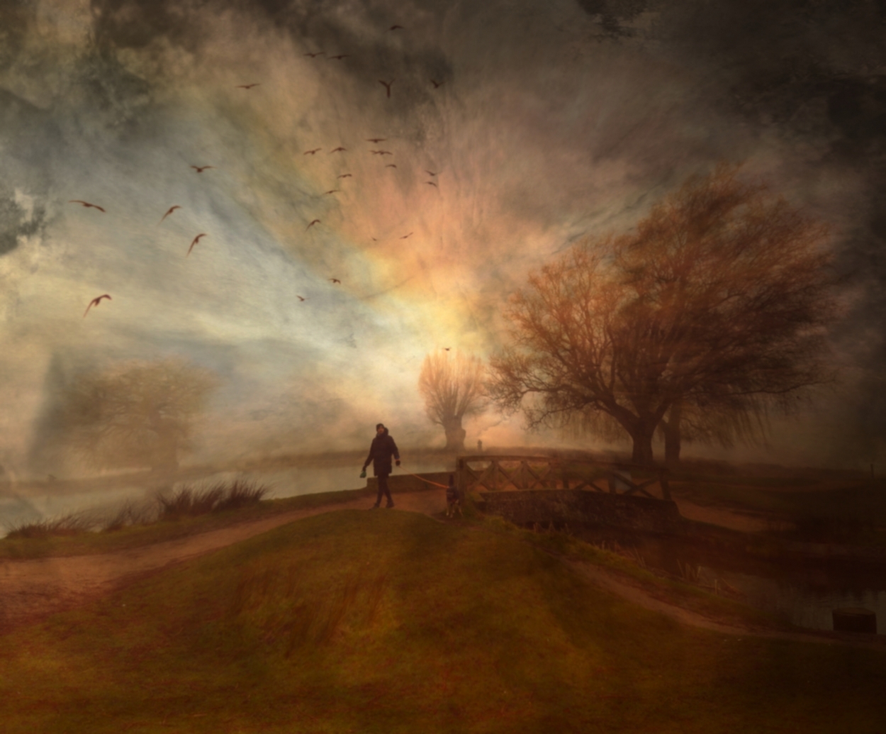 The Lost Morning