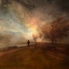 The Lost Morning