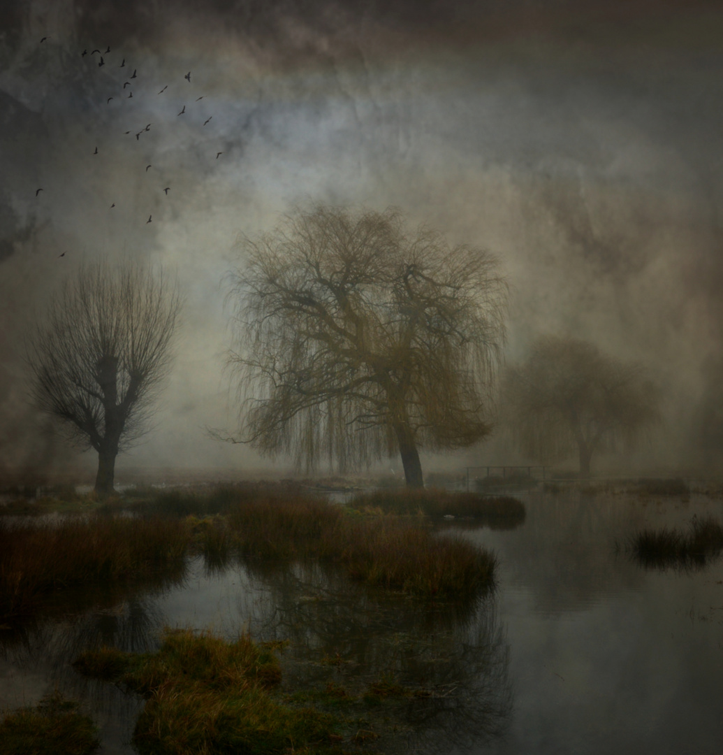 The Lost Morning 