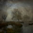 The Lost Morning 