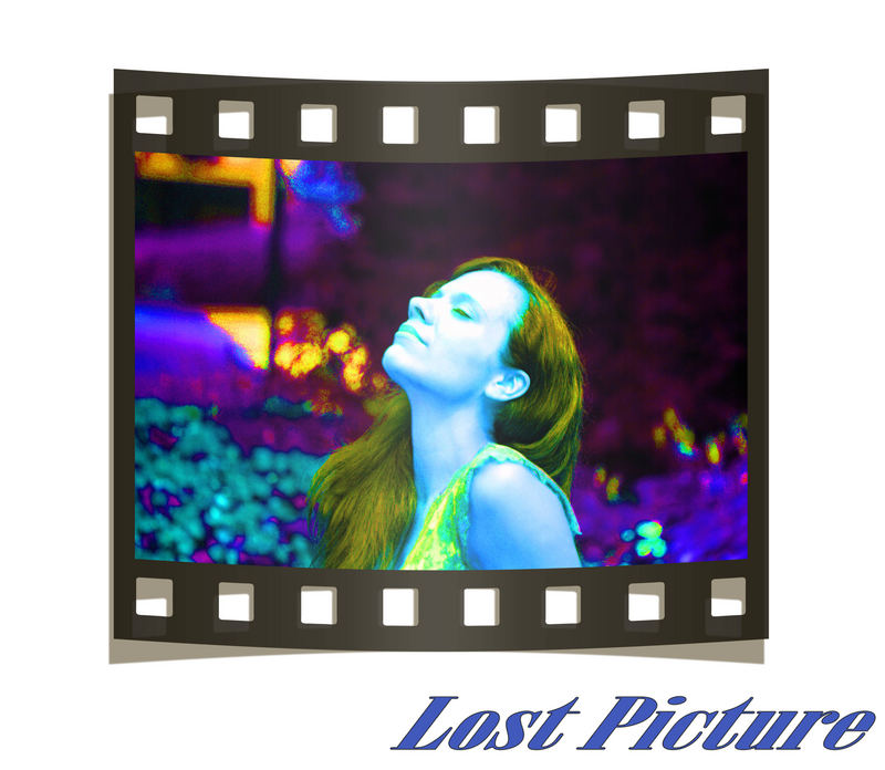 The Lost Picture