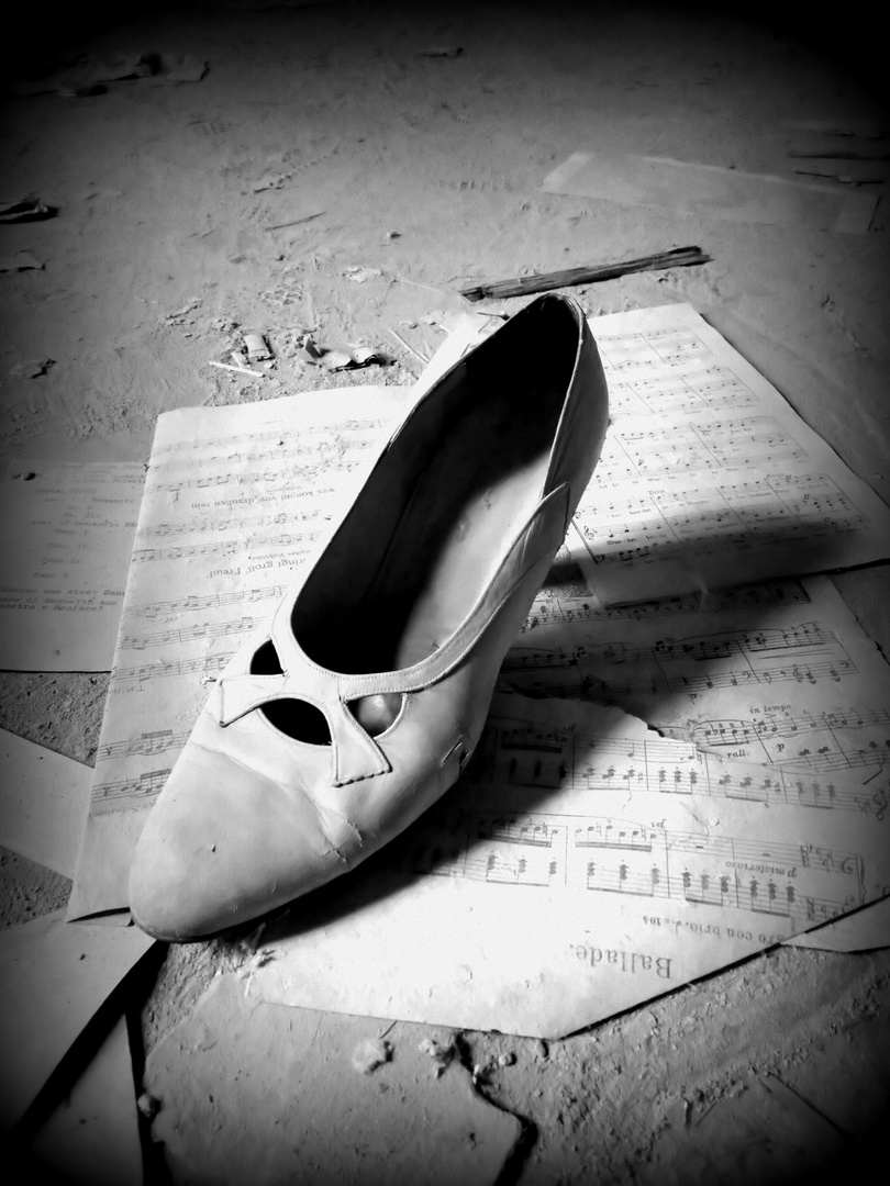 The lost Shoe