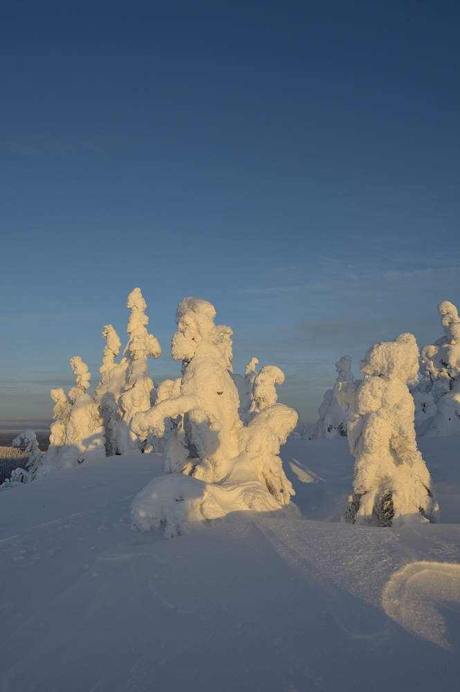 The lost Skier, der verlorene Skifahrer