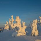 The lost Skier, der verlorene Skifahrer