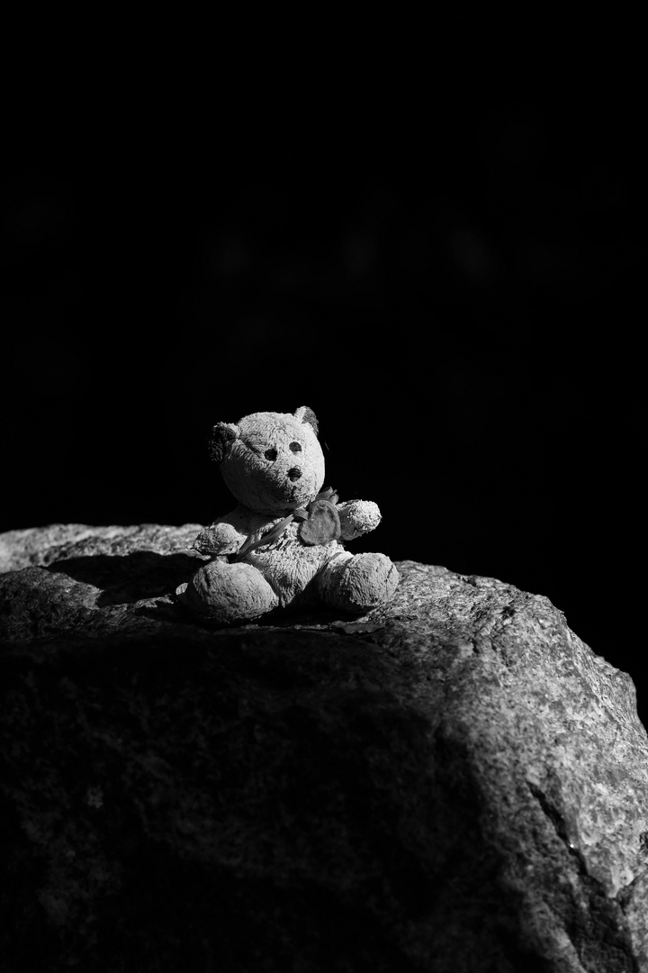 The Lost Teddy Bear