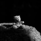 The Lost Teddy Bear