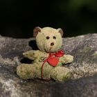The lost Teddy Bear