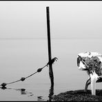 the lowest point on earth [Around the dead sea]