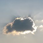 The luminous cloud