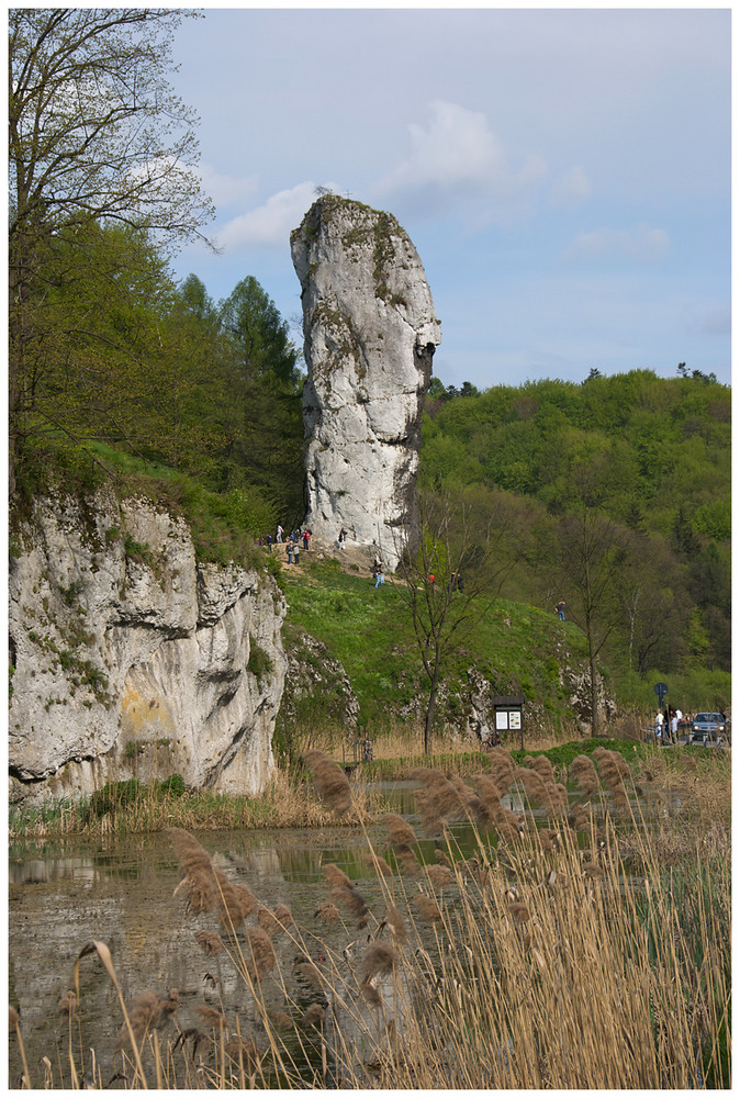 The Mace of Hercules (spring)