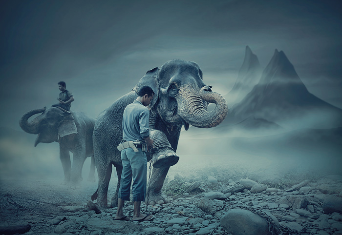 the mahout of the dreamland #2
