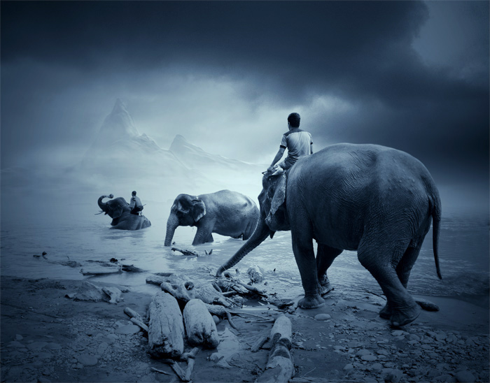the mahout of the dreamland