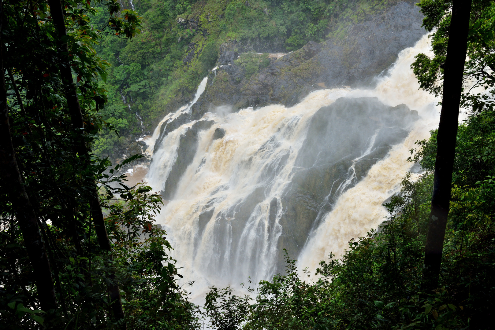 The majestic Barron Falls