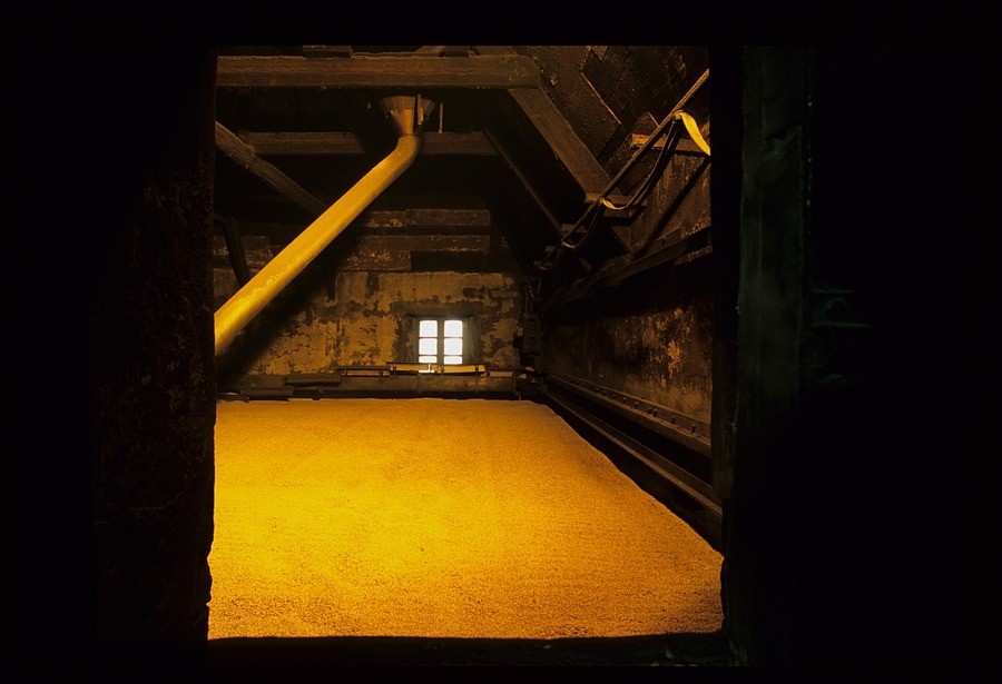 The making of Whisky: Kiln