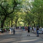 "The Mall" im Central Park an einem Septembersonntagnachmittag 2014