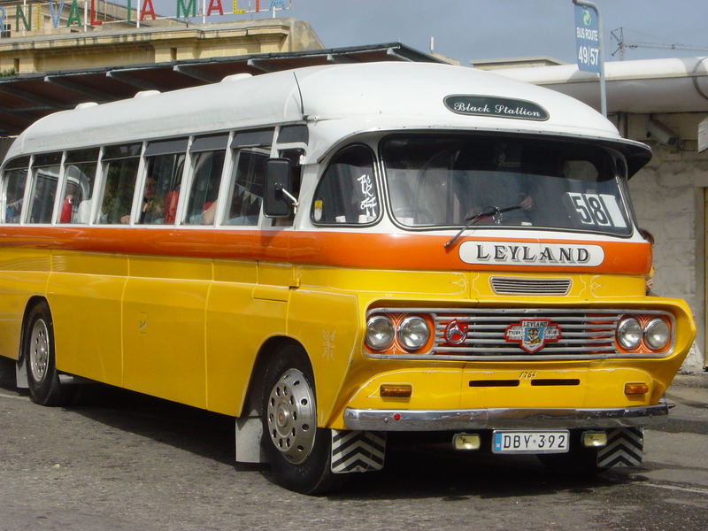 The maltese bus