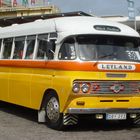 The maltese bus