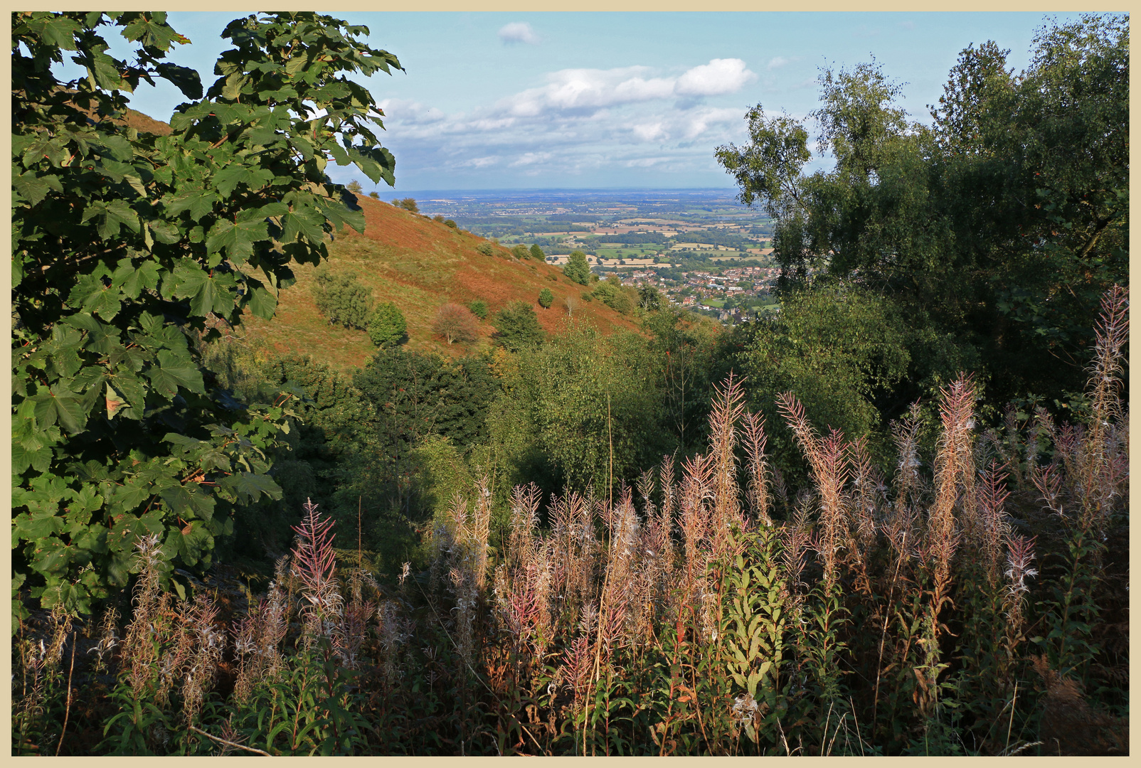 the Malvern Hills