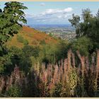 the Malvern Hills