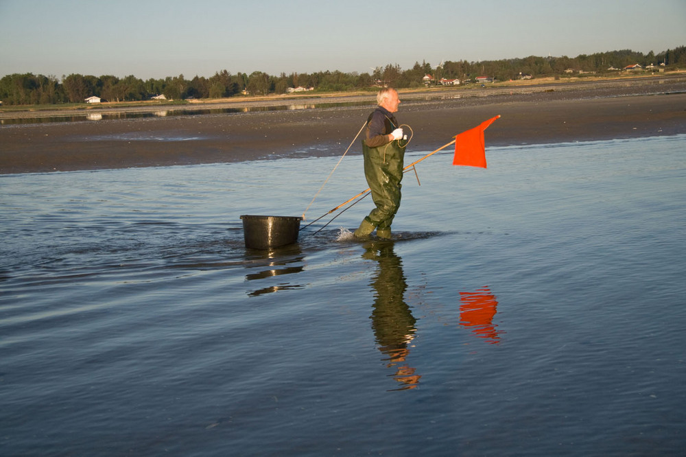 The man and fishing net