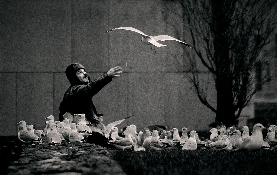 The Man and the Birds