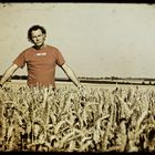 The man and the cornfield