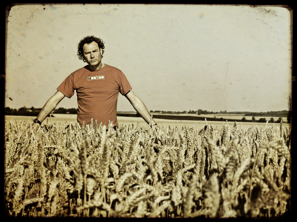 The man and the cornfield
