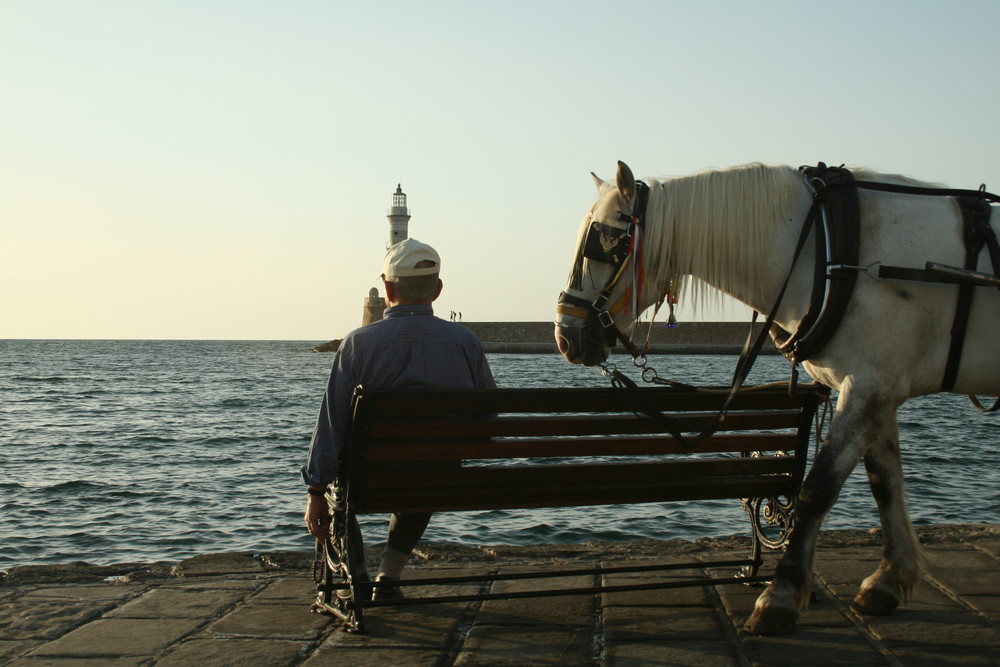 the man and the horse!