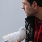 the man and the pigeon