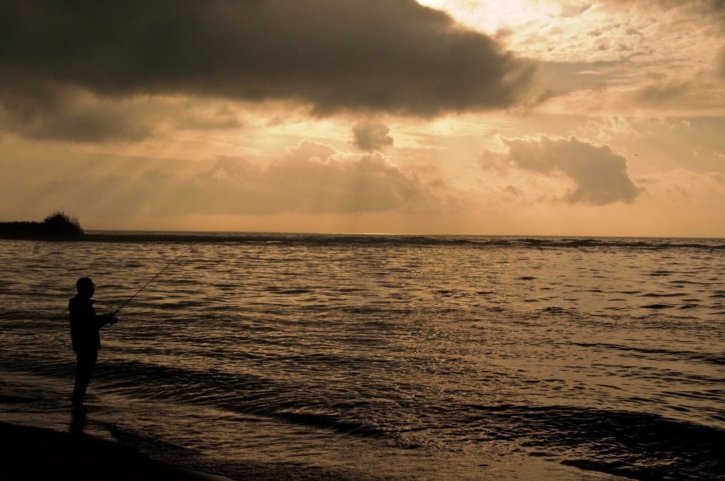 The man and the sea