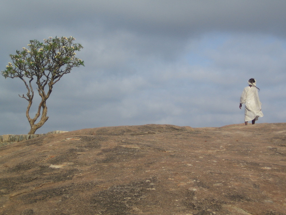 The man and the tree