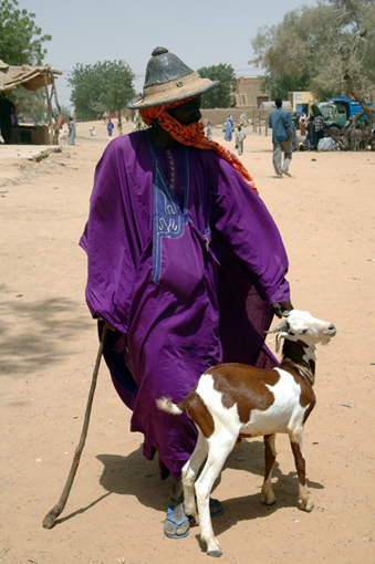 The man from Niafunké