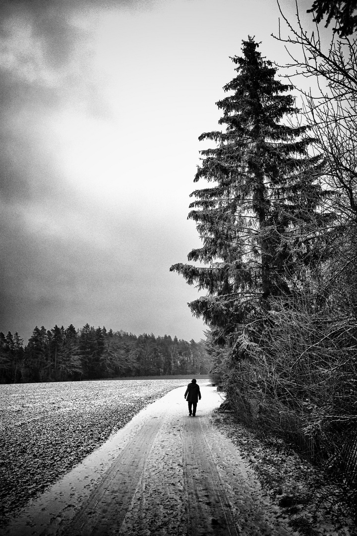 The man in snow