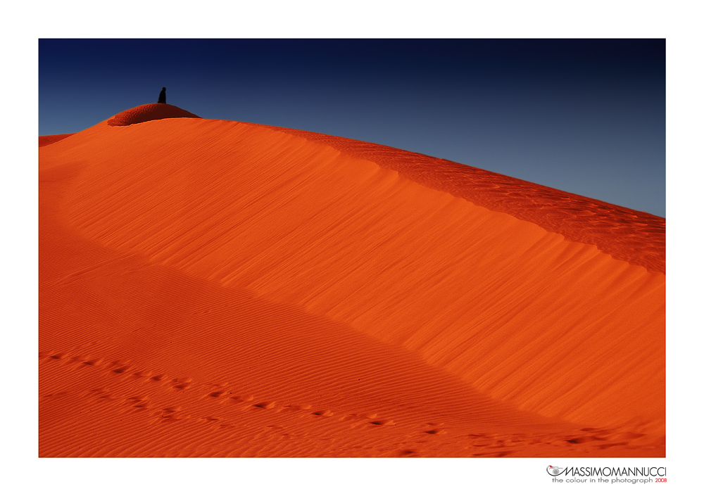 The Man in the Colours