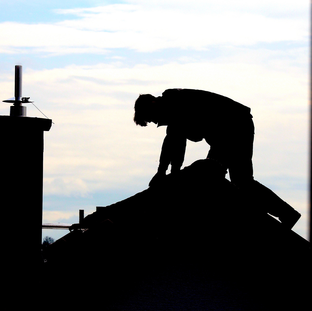 the man on the roof