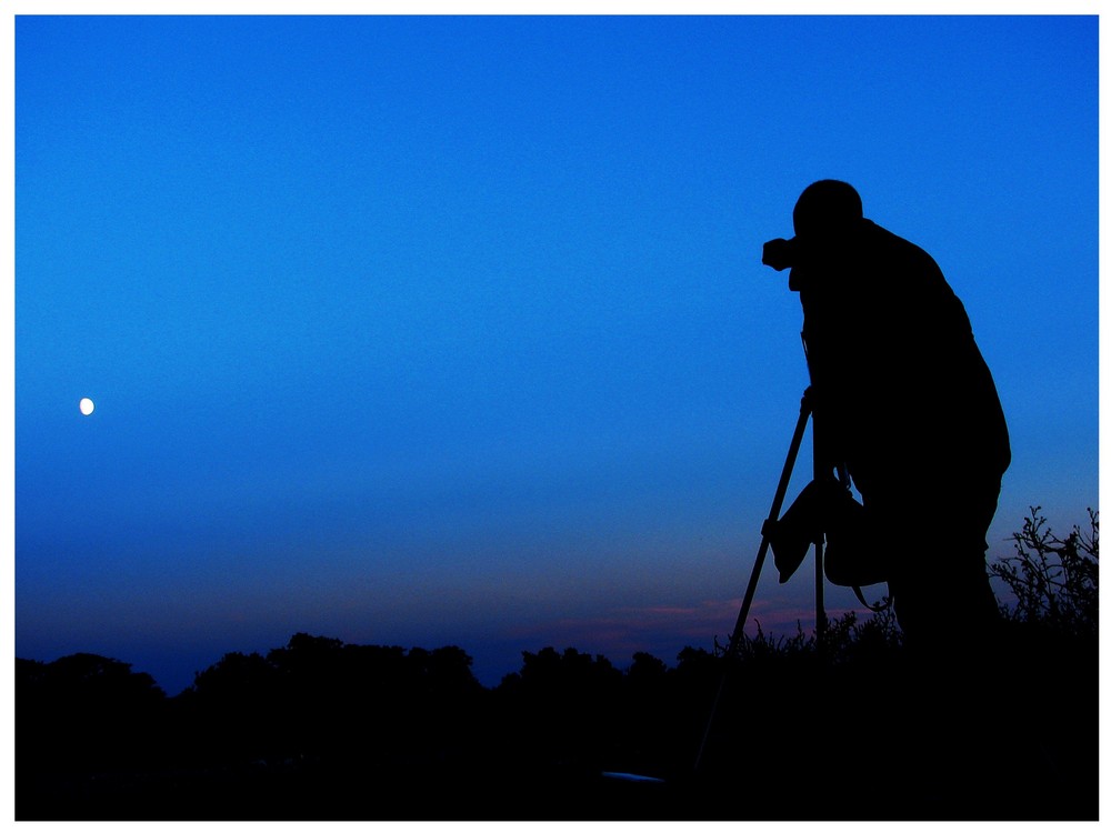 the man who tried to catch the moon