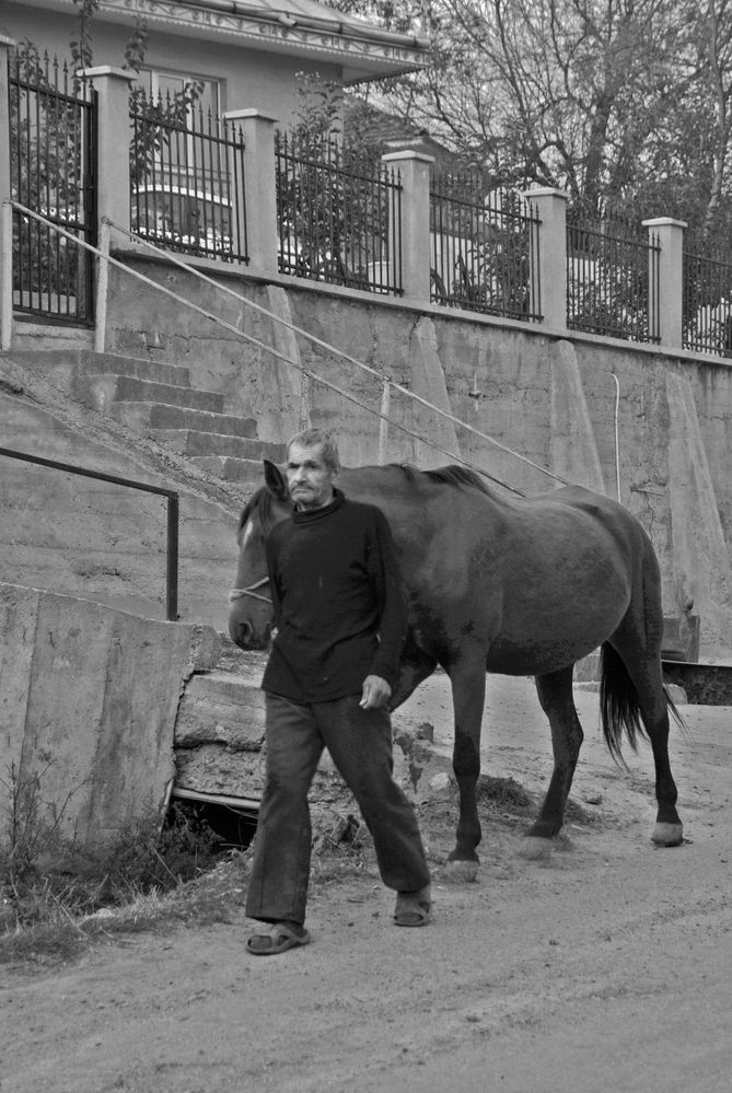 the man with the horse by Mihaela At.