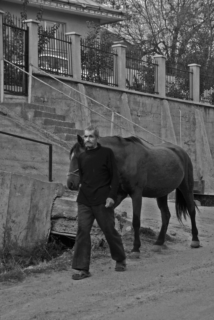 the man with the horse