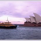 The Manly Ferry