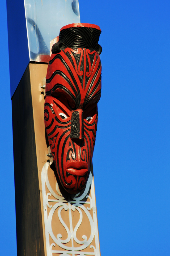 The Maori Guardian