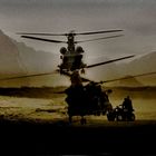 The Marines arrive .