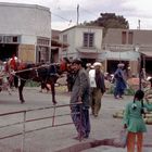 The market in Herat