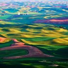 The marvellous Palouse