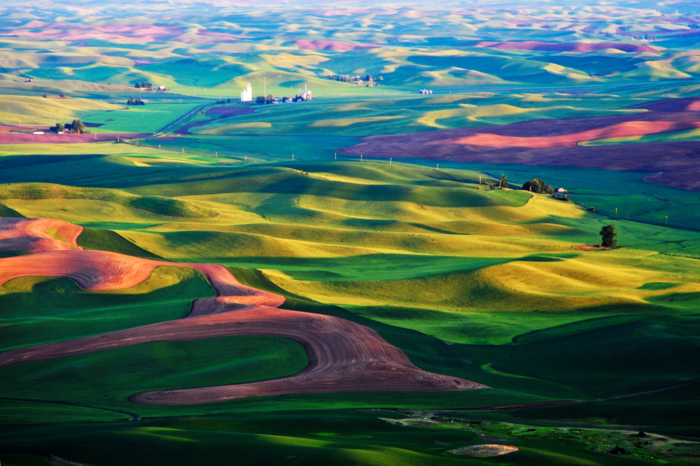 The marvellous Palouse